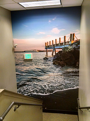 Tacoma, Gig Harbor, Seattle area wallcovering, wallpaper, and mural installation.